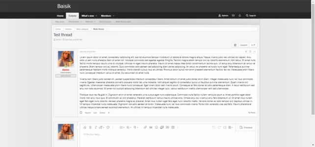 baisik2.webp