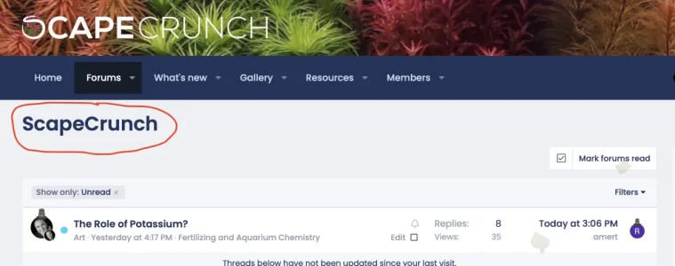 Screenshot 2022-11-17 at 4.09.01 PM.webp