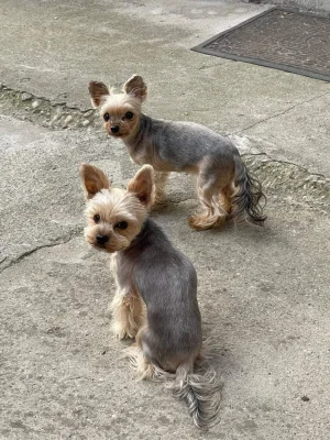 Spike & Abi.webp