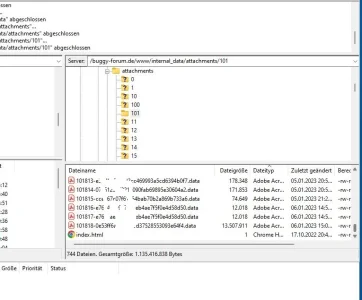 db.webp
