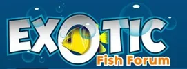 exotic.fish.forum.webp