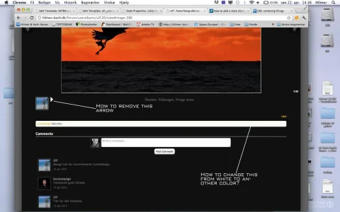 Style.webp