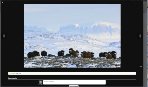 lightbox.webp