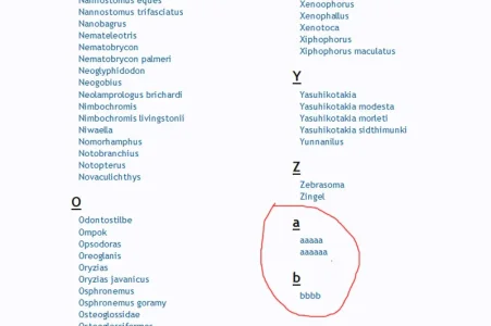 lowercase.webp