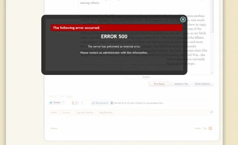 error.webp
