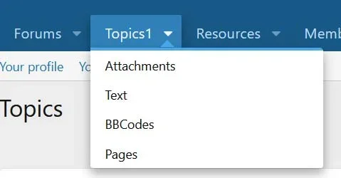 nav1.webp