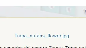 prueba-7.webp