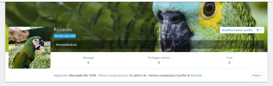 Screenshot (53).webp
