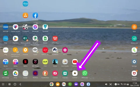 android icon.webp