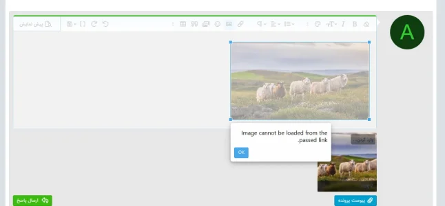 3.webp