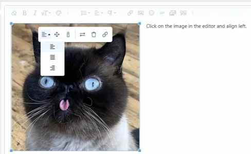 1687808685404.webp