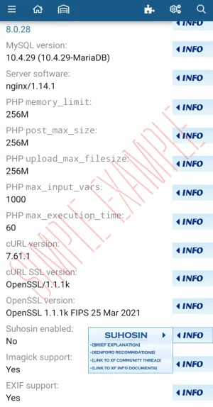 magicut_1689546265029.webp