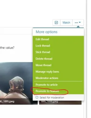 promote to feature.webp