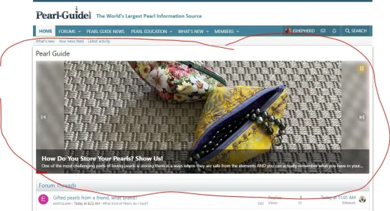 Appears on homepage.webp