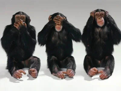 monkeys.webp