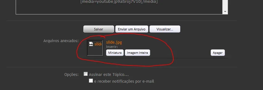 Capture.webp