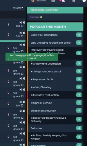 widget.png