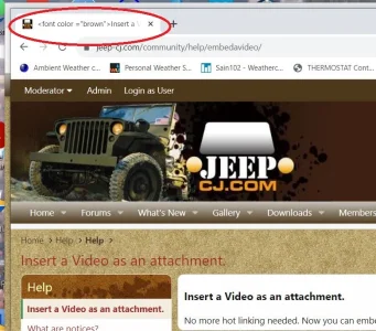tttt1.JPG