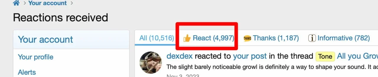 recat1.jpg