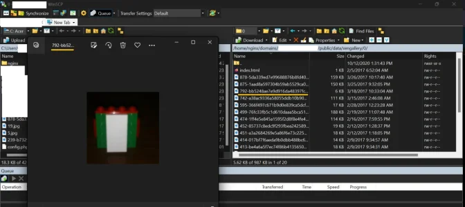 Screen Shot Data_Dir.webp