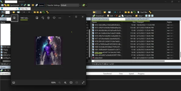 Screenshot Thumbnails in xfmg_thumbnail.webp