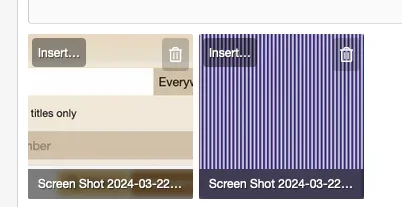 Screen Shot 2024-03-22 at 7.04.53 PM.webp