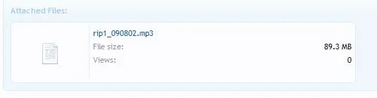 ripmix.webp