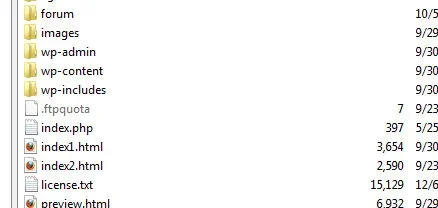 ftpfileshot.webp