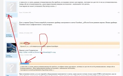 bug.webp