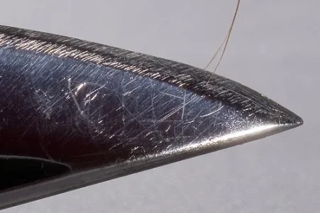 splitting_hairs[1].webp