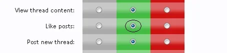 r4.webp