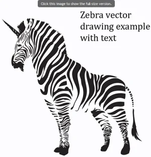 zebra1.webp