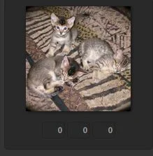 user-album.webp