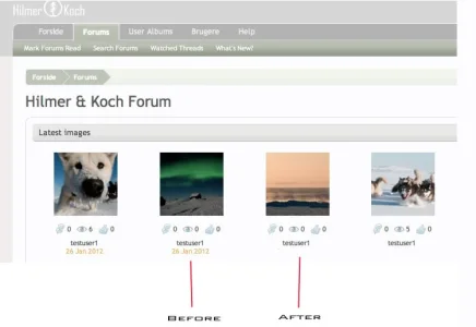 user-album2.webp