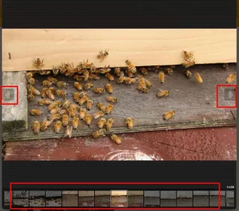 Screen Shot 2012-06-21 at 10.22.26 PM.webp