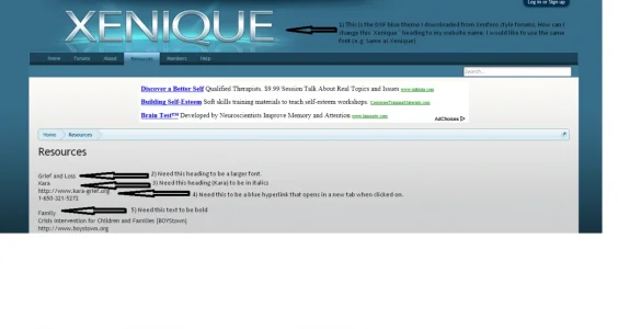 Website Screenshot.webp