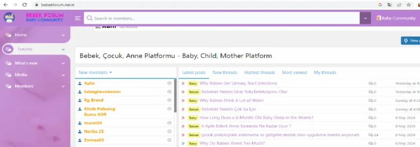 liveforumstatistic.webp