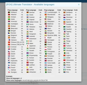 translator07.webp
