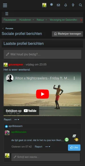 Schermafdruk van 2024-05-29 22-22-04.webp