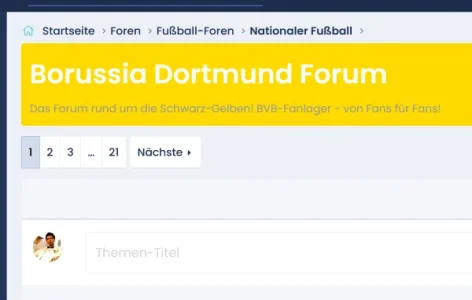 bvb-farben.webp