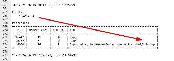image.webp