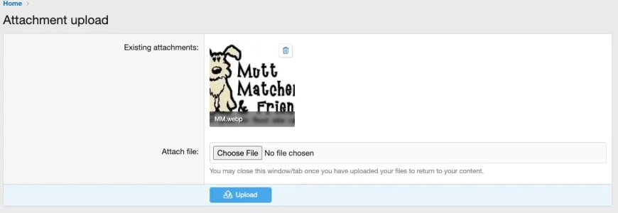 Screenshot 2024-07-01 at 2.29.11 PM.webp