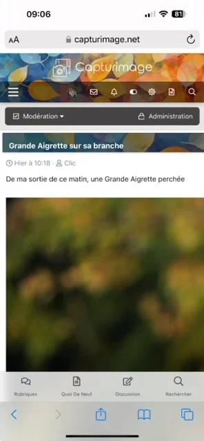 Capturimage.webp