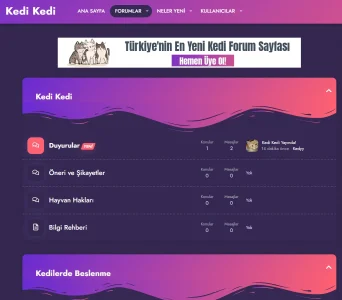 Ekran görüntüsü 2024-07-31 173116.webp