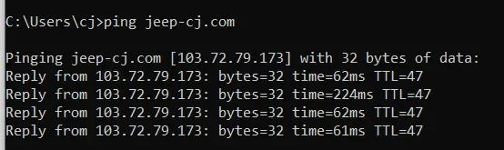 ping1.webp