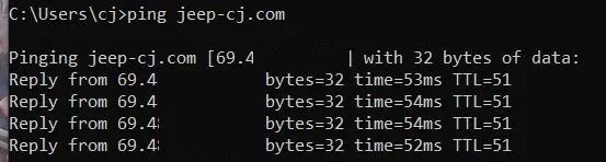 ping2.webp