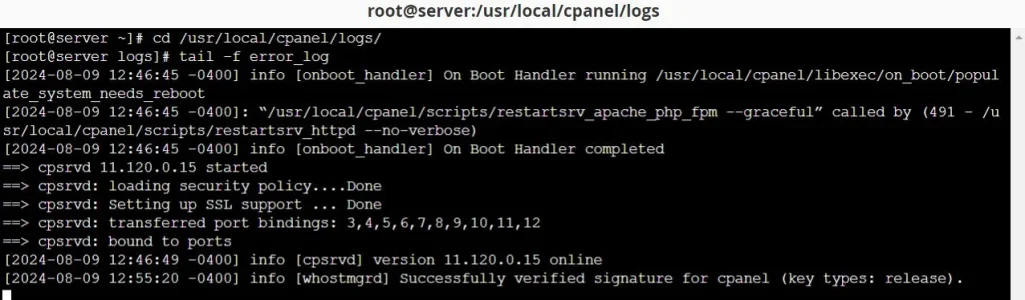 noerror1.webp