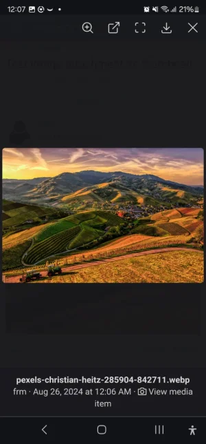 Screenshot_20240826_000701_Chrome.webp Screenshot_20240826_000701_Chrome.webp