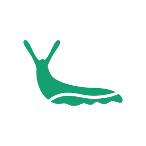 Mollusques.webp