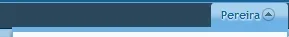 tab selected.webp